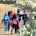 Moroccos-School-Dropout-Crisis-280000-Students-Abandon-Education-Annually